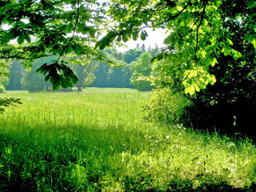 44924 (a): :1600x1200